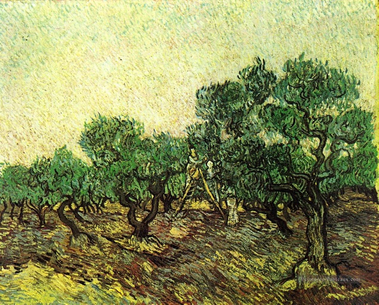Cueillette d’olives 2 Vincent van Gogh Peintures à l'huile